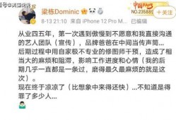 爆料拍视频要配文字吗,是否需要配文字的深度解析