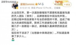 爆料拍视频要配文字吗,是否需要配文字的深度解析