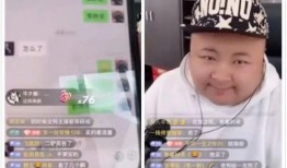 辛巴爆料金星视频大全,金星视频大全背后的惊人真相