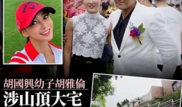 娱乐圈大瓜爆料合集小说,揭秘明星背后的秘密与真相
