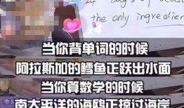 许盼爆料董宇辉视频合集,揭秘网红背后的真实故事