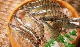 日料店甜虾爆料怎么做视频,日料店独家甜虾制作过程大揭秘