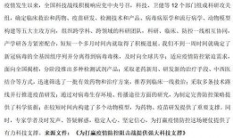 5月最新活动爆料新闻稿,最新活动爆料，精彩不容错过！”