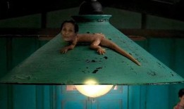 壁虎电影在线观看免费,揭秘高清观影新体验