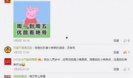 猪猪爆料视频,揭秘视频背后的惊人真相