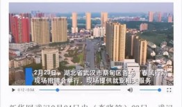 蔡甸媒体爆料新闻,重大事件引发社会关注