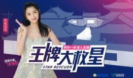 王青欢爆料视频大全集,揭秘娱乐圈幕后真相