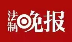 爆料新闻的方法,独家调查与内幕披露