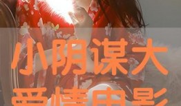 小阴谋大爱情 在线观看,一场跨越时空的浪漫邂逅