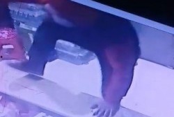 佤邦最新爆料消息视频