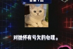 吃瓜娱乐圈内娱课代表