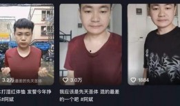 二姐爆料小诸葛视频播放,小诸葛视频播放背后的故事