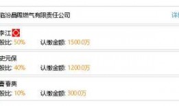 临汾燃气集团最新爆料,揭秘集团发展新动向与挑战