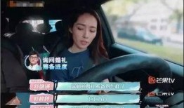 灵荣夫妻爆料事件视频播放,揭秘娱乐圈背后的真相