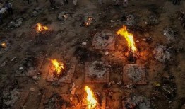 网游爆料印度视频大全,揭秘热门游戏背后的精彩故事
