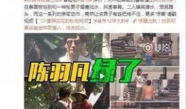赵先生最新爆料视频播放,事件真相全解析
