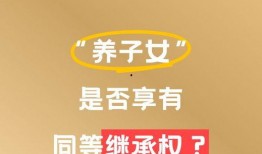 今日头条律师爆料视频,今日头条最新爆料视频背后的法律焦点