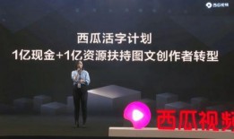 文轩爆料官宣视频大全集,精彩瞬间回顾