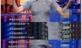 辛巴爆料金星视频大全,金星视频大全背后的惊人真相
