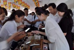 茶说新闻爆料,揭秘茶界最新动态，带你领略茶文化魅力