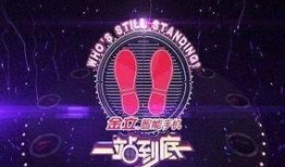 江苏卫视回看在线观看,重温精彩瞬间，在线观看无限可能