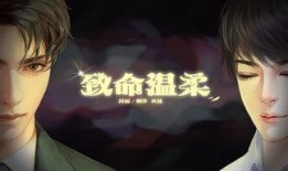 致命温柔在线观看,在线观看，揭秘爱情背后的惊悚谜团