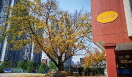大渡口最新爆料信息,揭秘城市变迁背后的故事