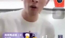 辛巴爆料金星视频大全,金星视频大全背后的惊人真相