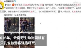 昆明动物园最新爆料,神秘动物亮相，揭秘动物世界新奇趣事