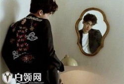 李易峰被爆料视频完整版,完整版揭露背后真相