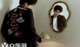 李易峰被爆料视频完整版,完整版揭露背后真相