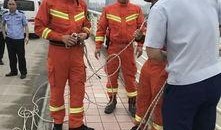 丹东凤城爆料事件最新情况,最新进展揭秘，真相逐步浮出水面