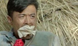 台湾灵与肉在线观看,穿越时空的感官之旅