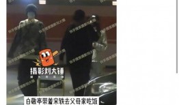 刘大锤最新爆料命韵峋环,命韵峋环背后的惊人真相