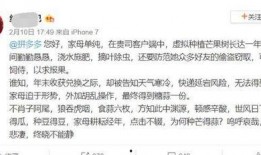 娱乐吃瓜酱文言文,古风趣味谈