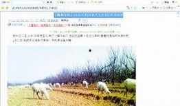 楚天传媒爆料最新消息,揭秘重大事件背后真相！
