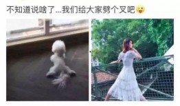 赵丽颖爆料解说视频,揭秘XXX拍摄幕后花絮