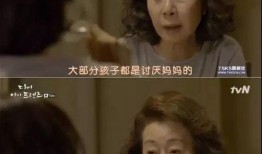 养欲之恩在线观看,一场跨越时空的深情演绎