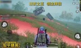和平精英最新爆料站,神秘武器登场，战场格局再起风云