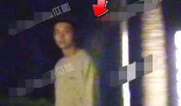 网络爆料张凌赫视频播放,揭秘背后故事
