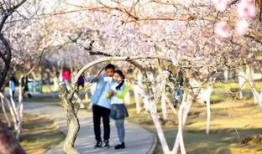 桃花公主爆料视频大全集,揭秘幕后真相与精彩瞬间