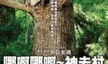 哪啊哪啊神去村在线观看,跟随“哪啊哪啊神去村”在线之旅