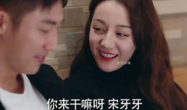 坦白局男女爆料视频,揭秘真实情感世界