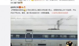 网友爆料高铁视频播放,网友爆料视频播放瞬间，揭秘旅途娱乐新风尚