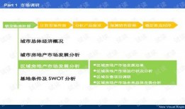 新宫本玩法爆料视频下载,视频爆料揭示技能革新与战术变革