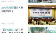 最新爆料热点事件新闻,真相与舆论的碰撞