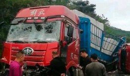桂林高速爆料事件最新,揭秘背后真相与争议焦点