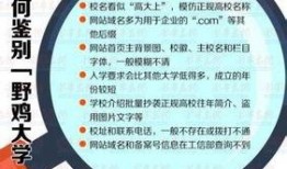 新闻爆料野鸡大学事件,虚假学历背后的利益链