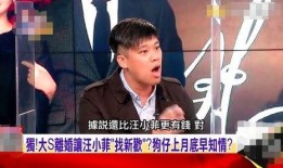 汪小菲爆料照片视频大全,揭秘背后真相与情感纠葛