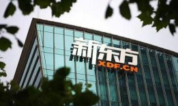 网红新东方爆料视频,视频内容深度解析